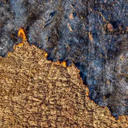 January 2020 (The Wilds)